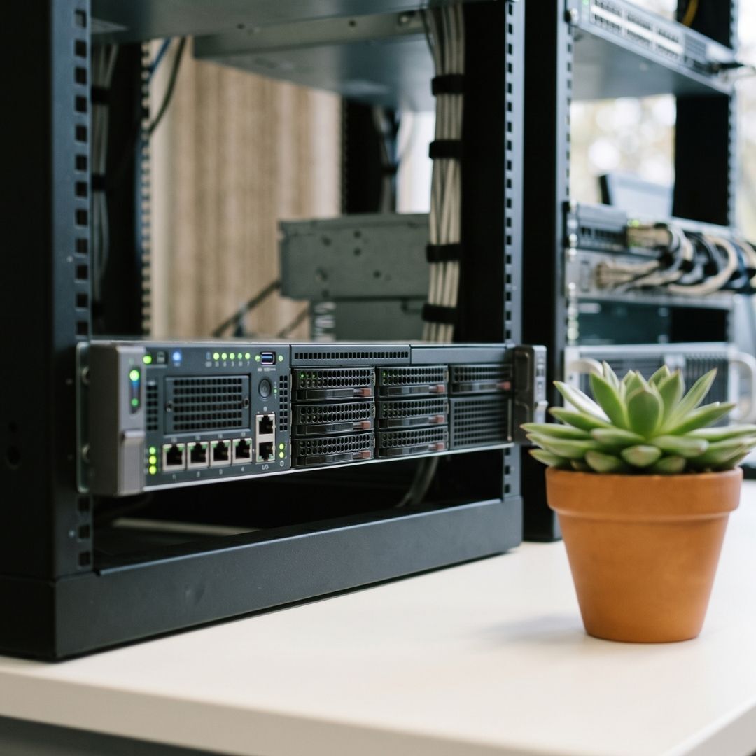 Small green plant sitting near professional office server.